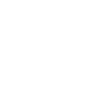Equity-Icon-white Equity-Icon-white