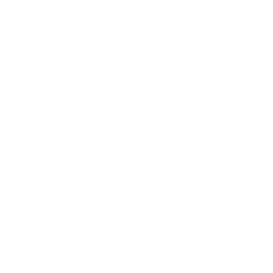 Service-Icon-white Service-Icon-white
