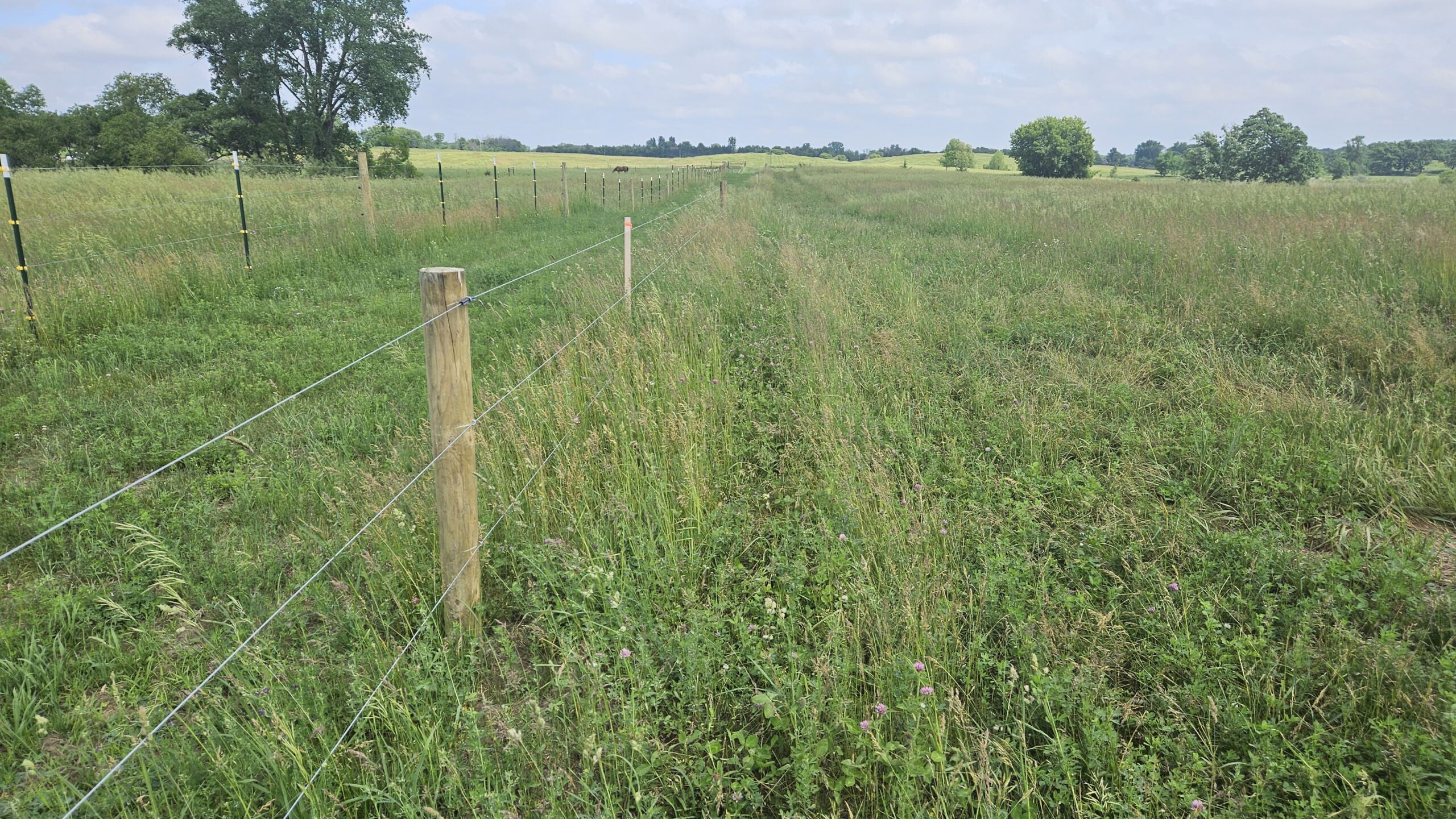 BLSNA Fence 1