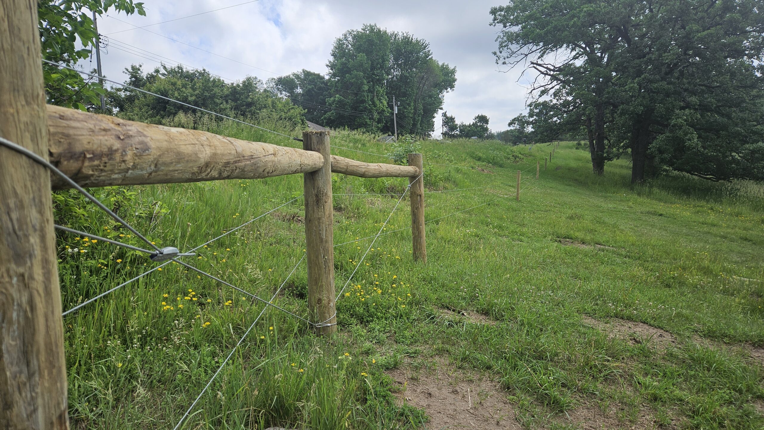 BLSNA Fence with Trees